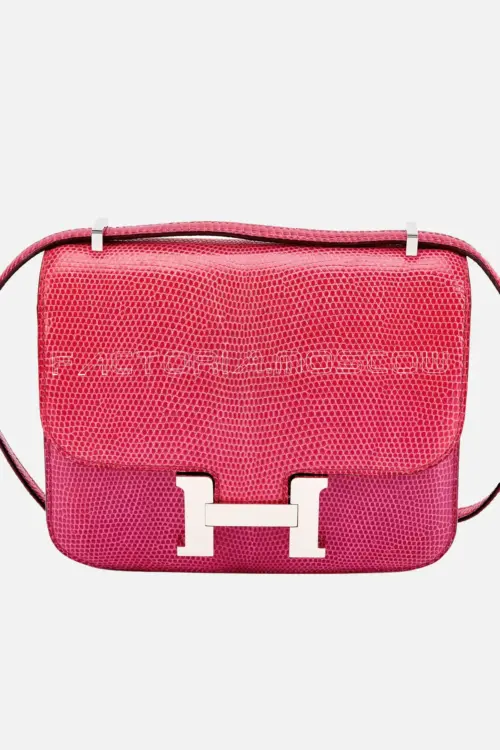 Hermès Mini Constance 18