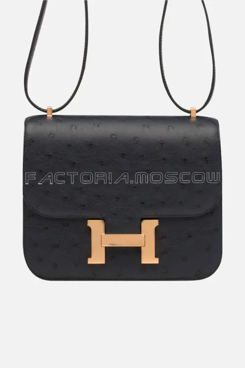 Hermes Mini Constance 18