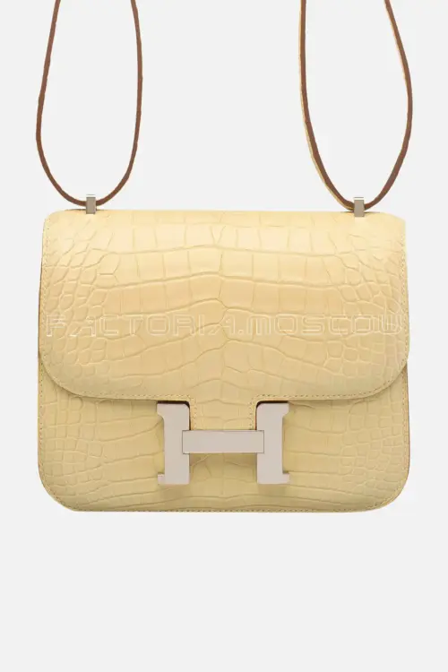 Hermes Mini Constance 18