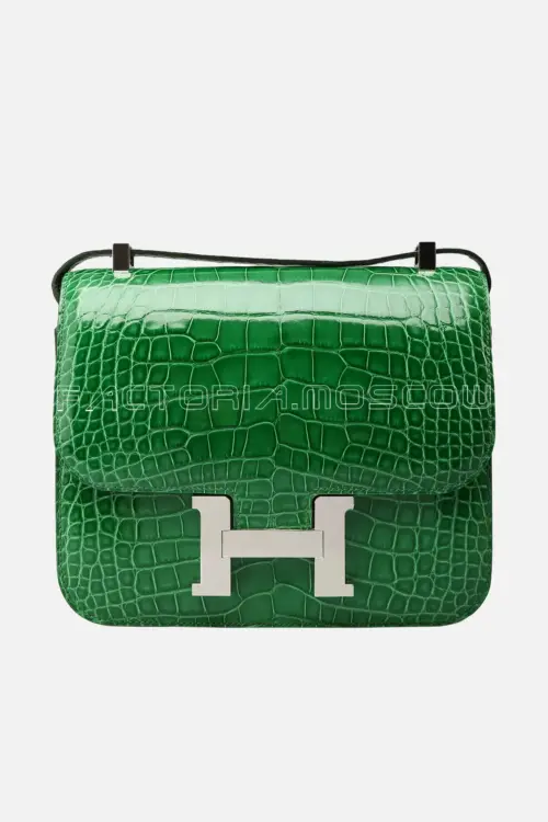 Hermes Constance 24
