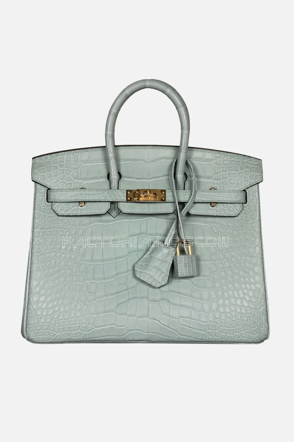 Hermès Birkin 25 Alligator Matte Color Vert D'Eau Hardware GHW