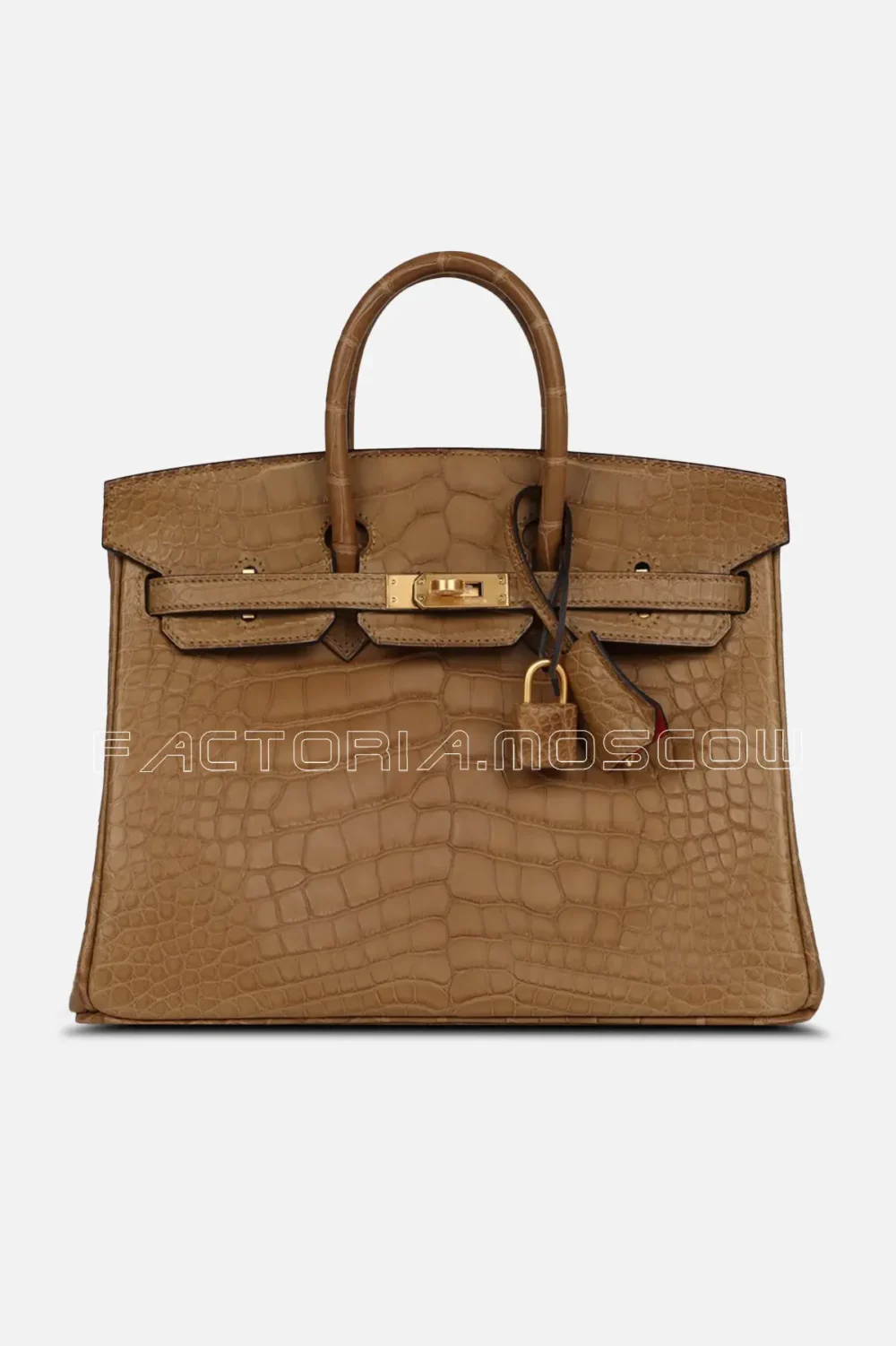 Special Order (HSS) Birkin 25