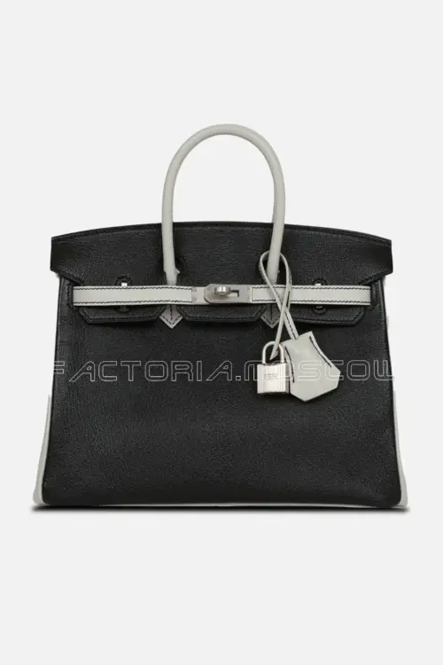 Special Order (HSS) Birkin 25