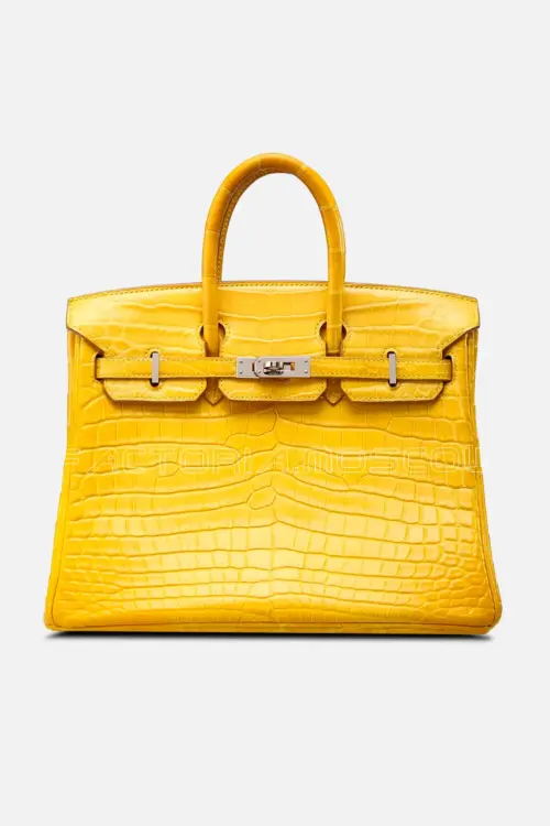 Birkin 25