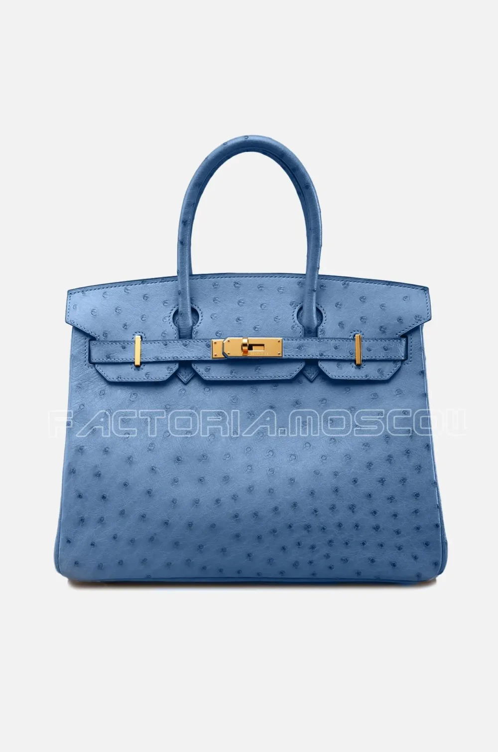 Birkin 30