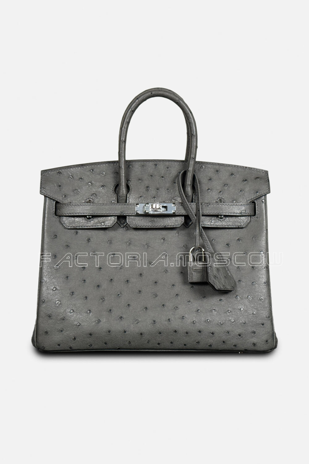 Hermes Birkin 25 Ostrich Color Gris Etain PHW
