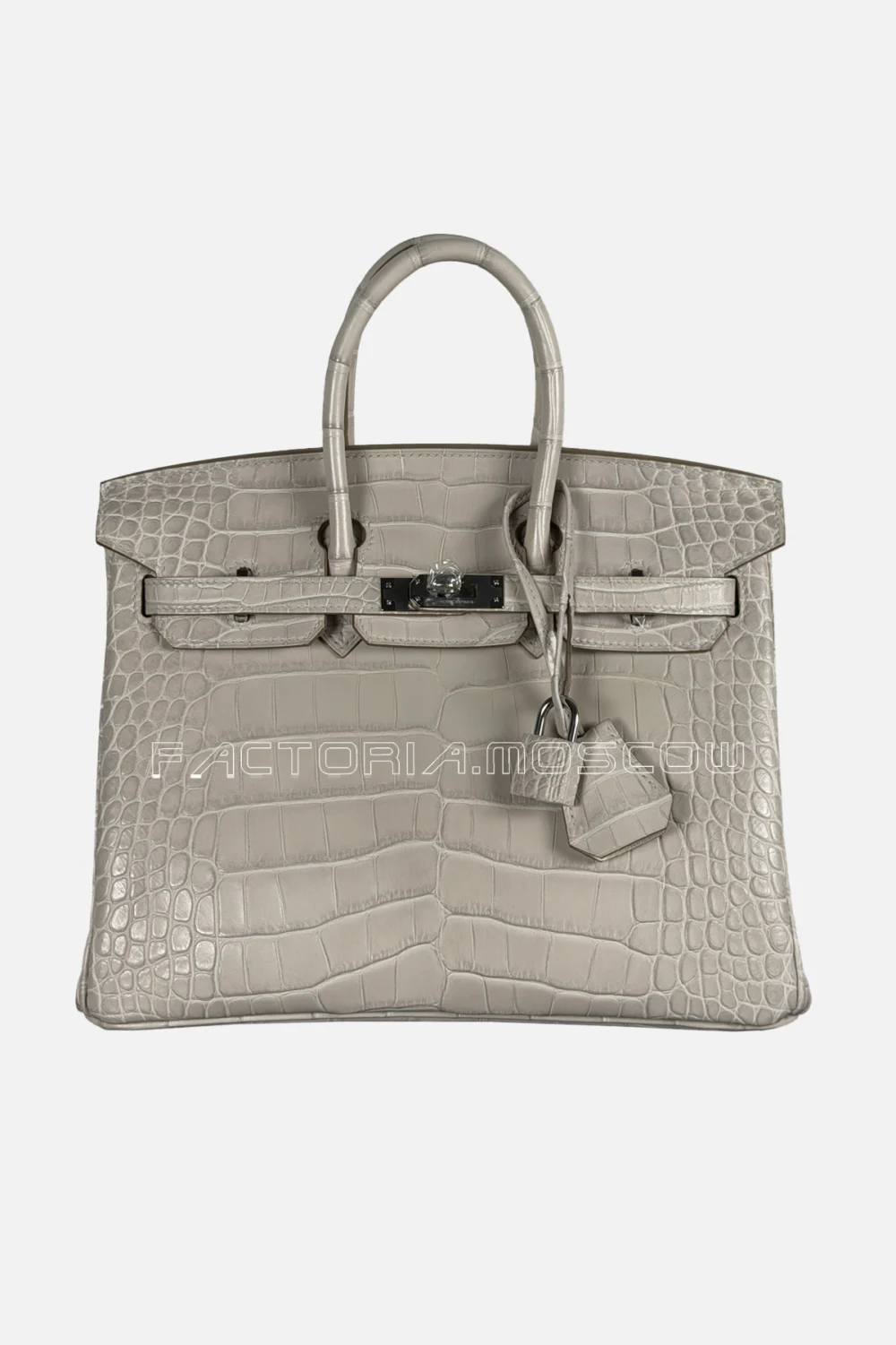 Hermes Birkin 25 Alligator Matte Color Beton PHW