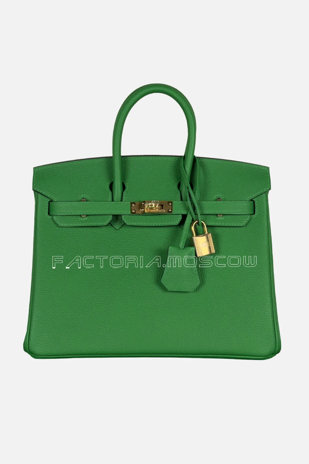 Hermes Birkin 25 Togo Color Bamboo GHW